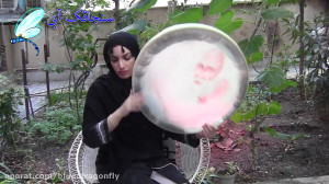 دف نوازی آهنگ چه کنم با دل تنه...