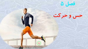 تدریس فصل پنجم علوم هشتم فراتر...