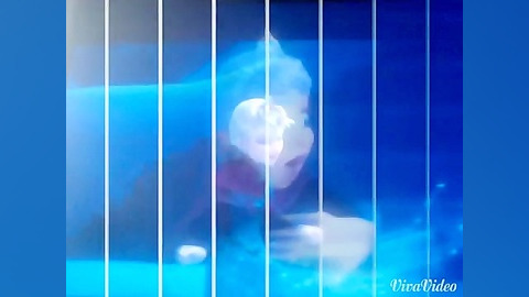 لحظات خنده داری از السا در آهن...