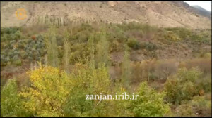 ترانه شاد آذری الینی ور الیمه