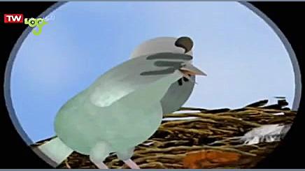 قصه ما مثل شد  کلاغ و طاووس