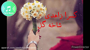 شاخه گل من نیومد............