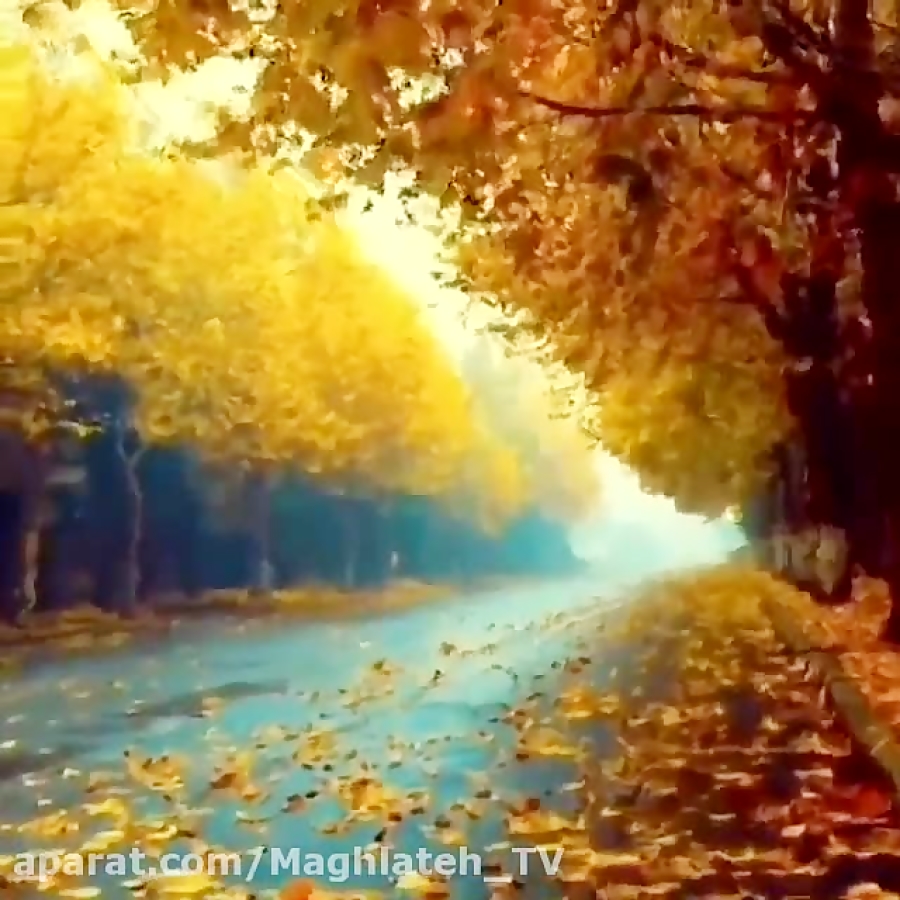 کلیپ عاشقانه پاییزی دنبال کن ه...
