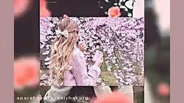 استوری میثم ابراهیمی