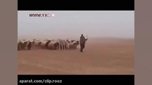 کلیپ طنز جدید: طنز.جنگ جهانی س...