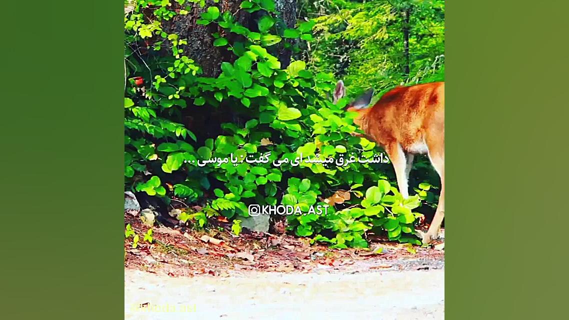 دکلمه خدا| دلنوشته خدا |اهنگ غ...