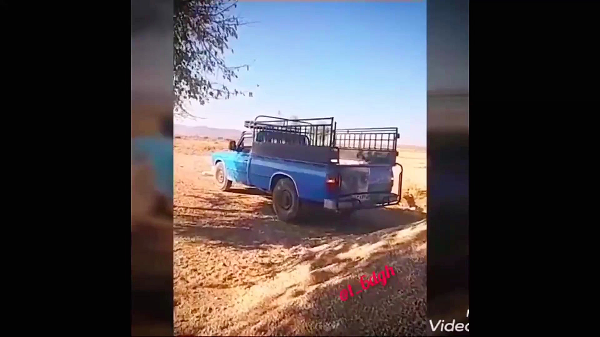 خانه سازی برای درختان