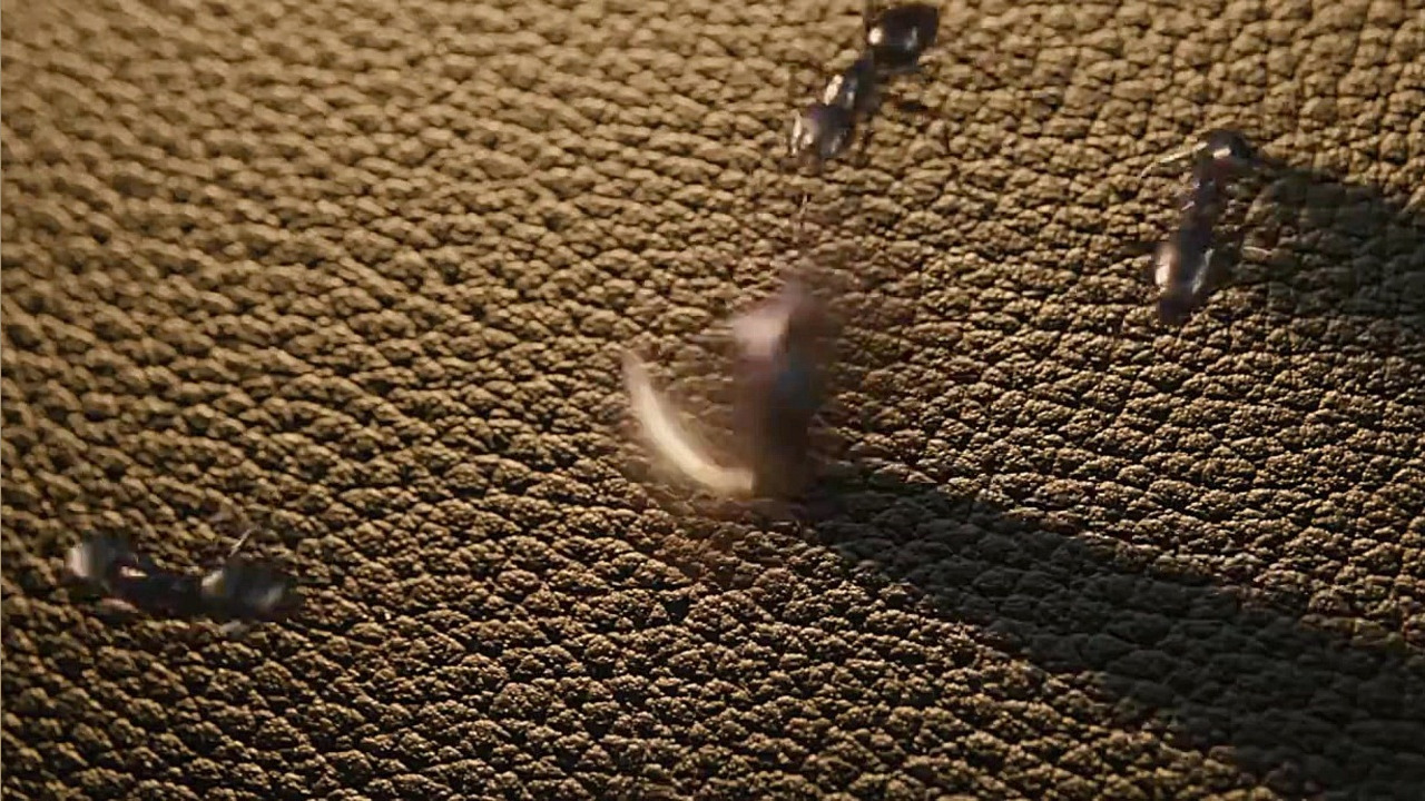 تریلرفیلم Ant Man