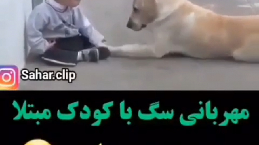 مهربانی سگ با کودک مبتلا به سن...
