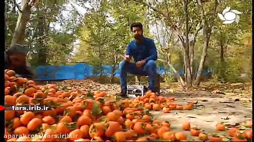 معرفی چند ترانه منتشر شده در ب...