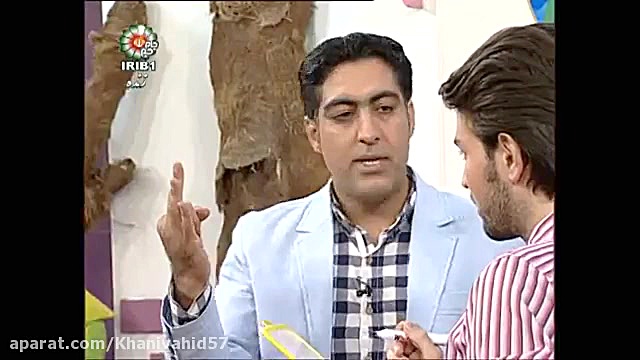 وحید خانی مجری بازیگر