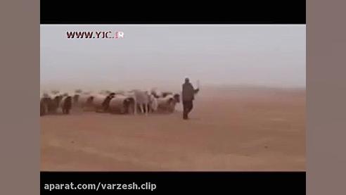 کلیپ طنز:طنز.جنگ جهانی سوم با...