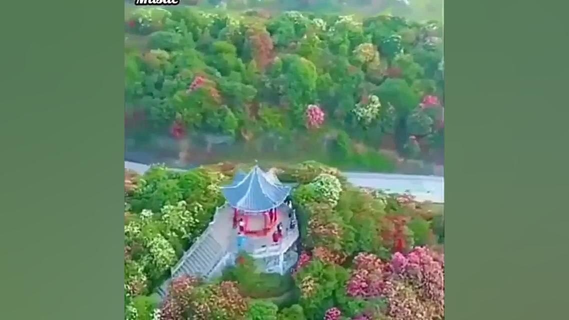 اهنگ بسیارزیبای ترکی دلبر | تص...