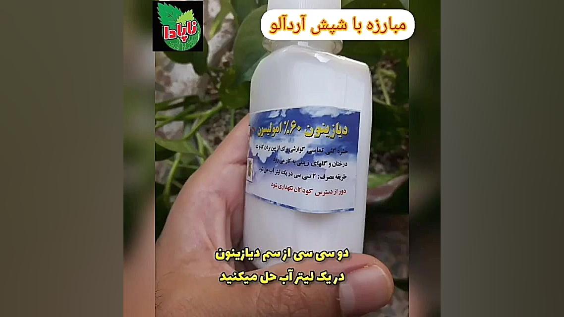 مبارزه با شپش ارد الو