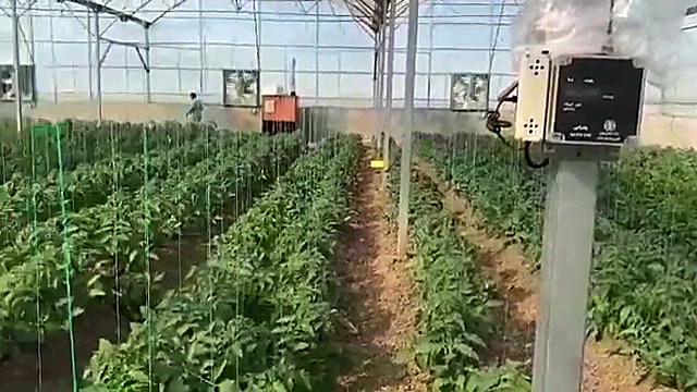 اتوماسیون گلخانه