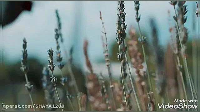 کلیپ زیبا. کلیپ مناجات. خداوند...