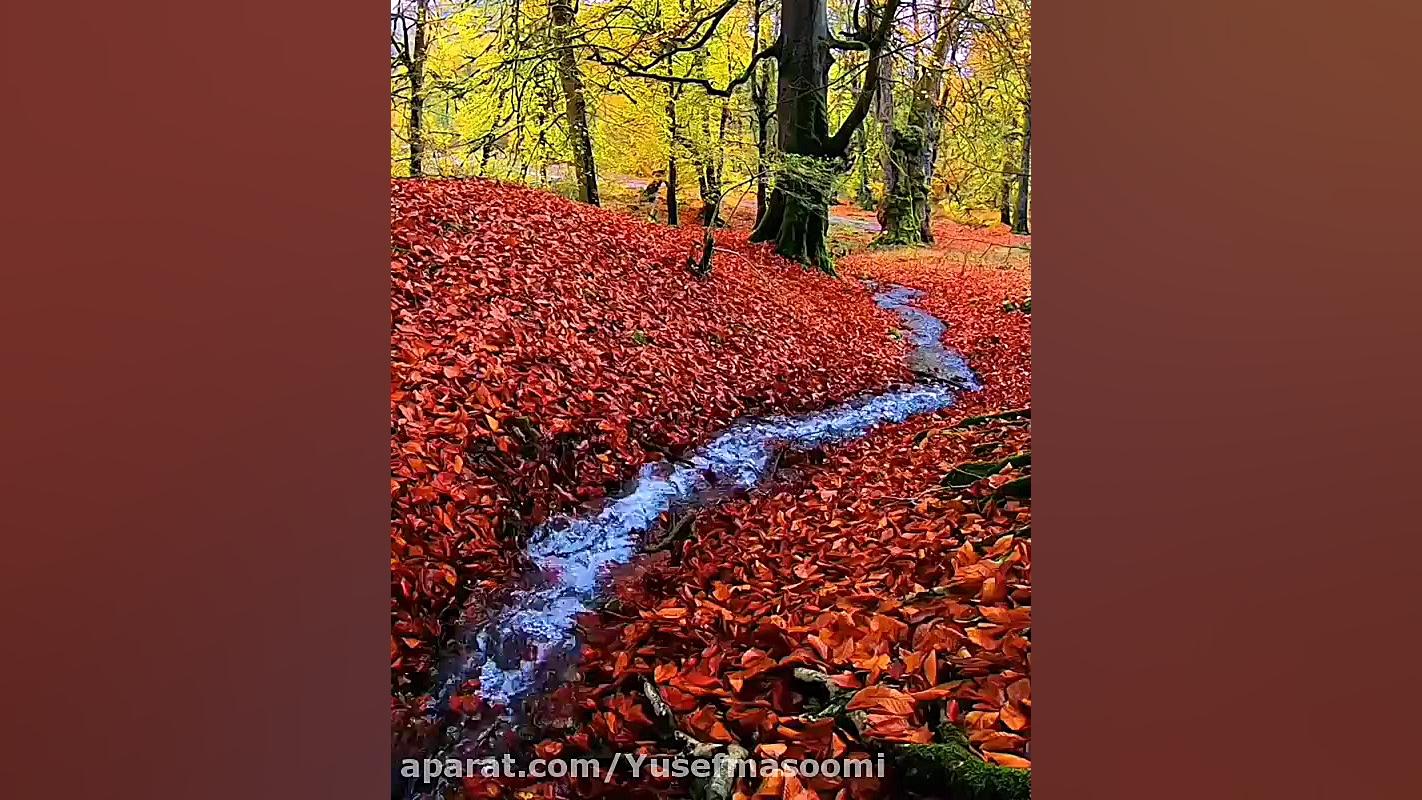 طبیعت گردی پاییزی بامهندس معصو...