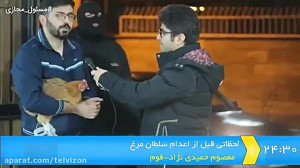 سلطان مرغ دستگیر شد! مرغ ارزان...