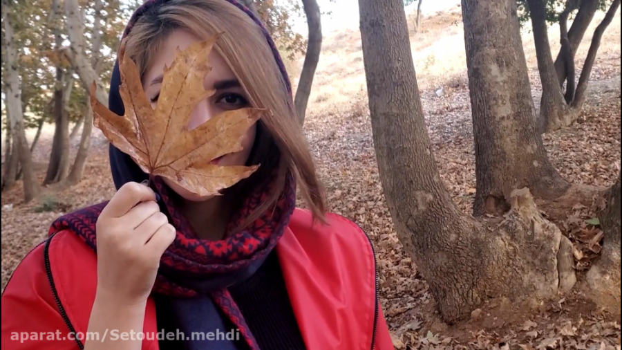 کاش چون پاییز بودم کارگردان مح...