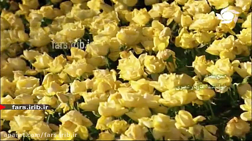 ترانه شاد &quot; صبح سلام &quo...