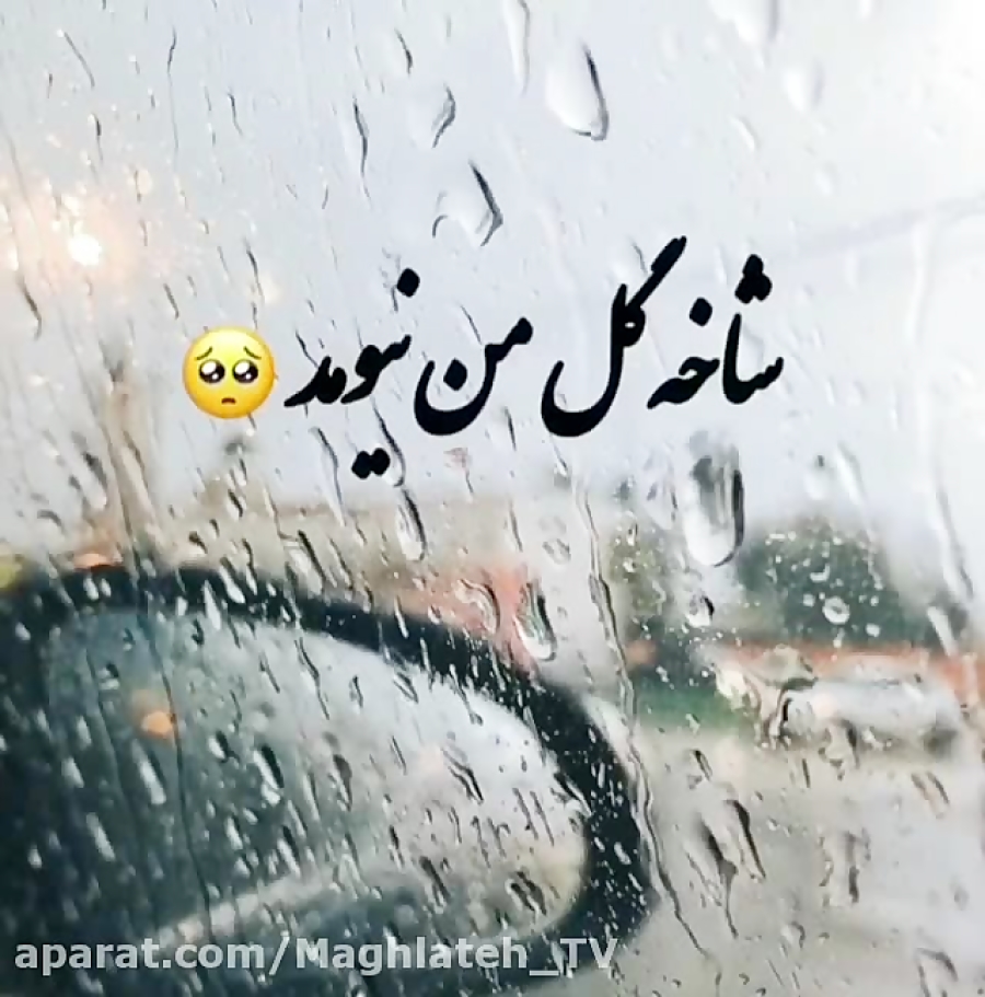 آهنگ شاخه گل من نیومد  کلیپ عا...
