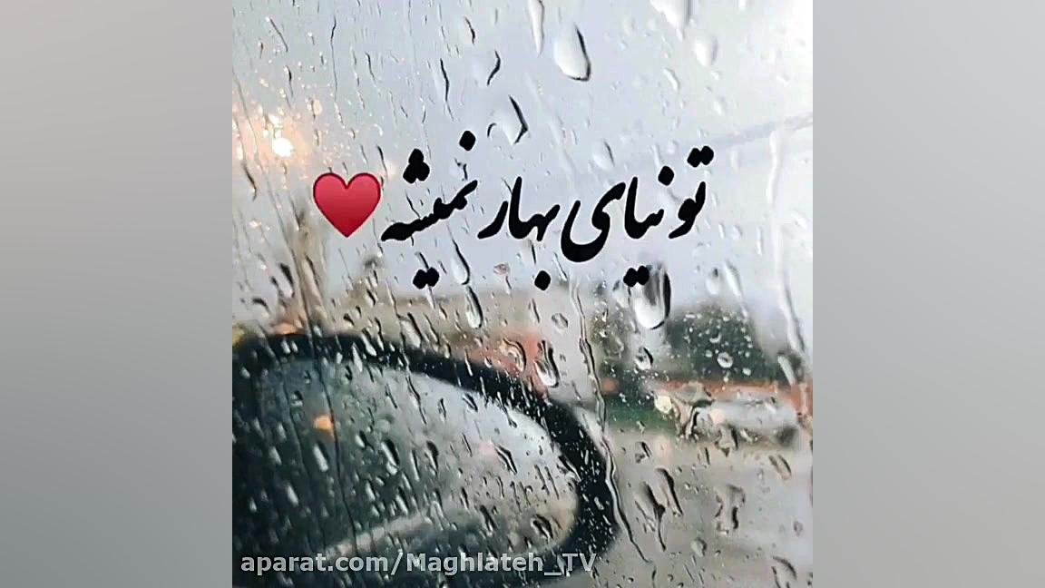 آهنگ شاخه گل من نیومد  کلیپ عا...