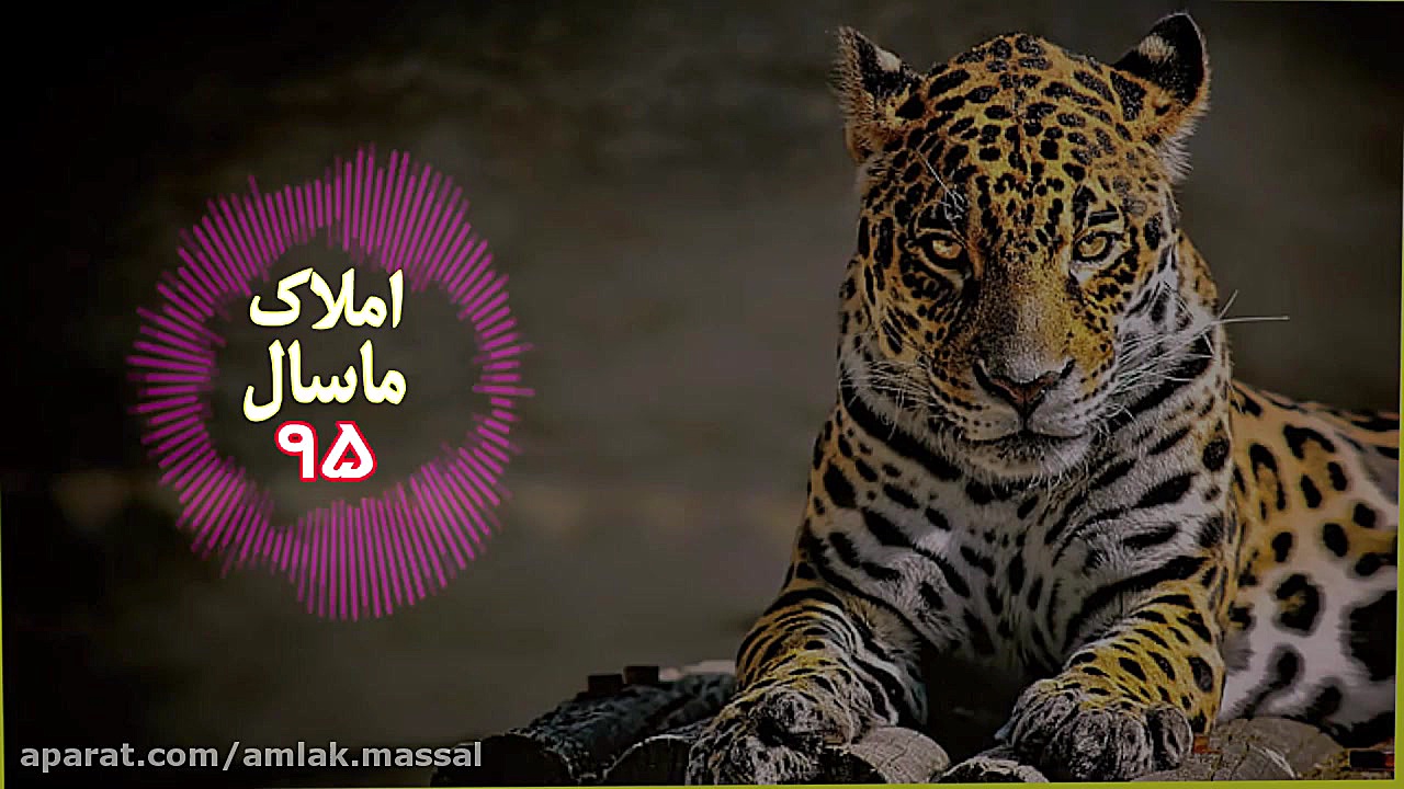 دانلود آهنگ شلوار پلنگی میلاد...