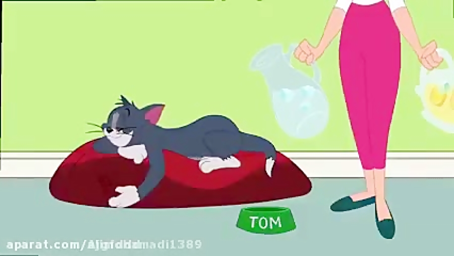 تام و جری جدید