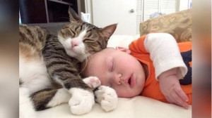 بامزه و خنده دار لحظات فان با...