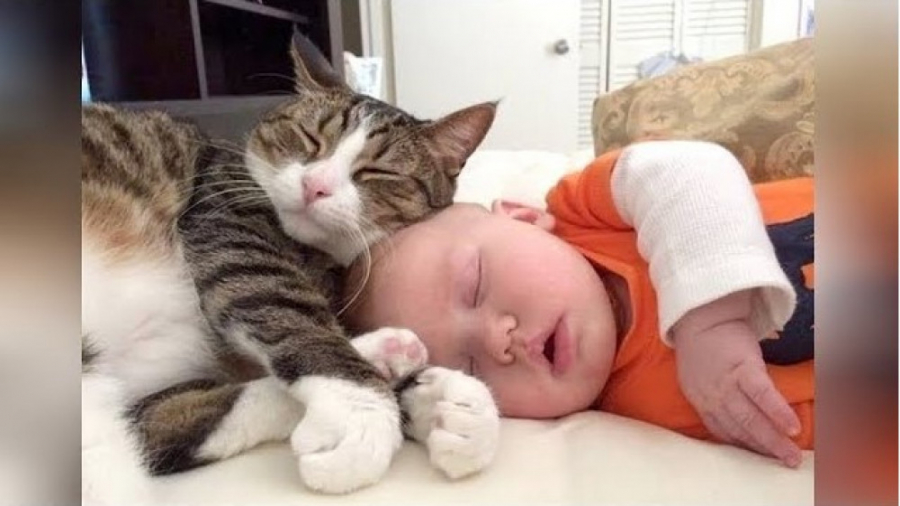 بامزه و خنده دار لحظات فان با...