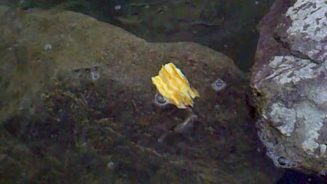 برای یه لقمه نان