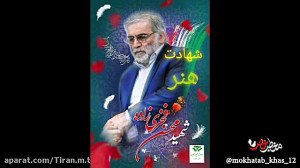 استوری برای شهادت محسن فخری زا...