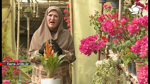نگهداری و پرورش گل زیبای "...