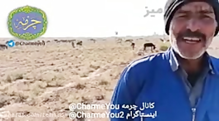 هر یک الاغ ماهانه ۳۰ میلیون تو...