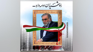 شهید محسن فخری زاده