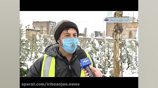 بارش برف،زنجان سفید پوش شد