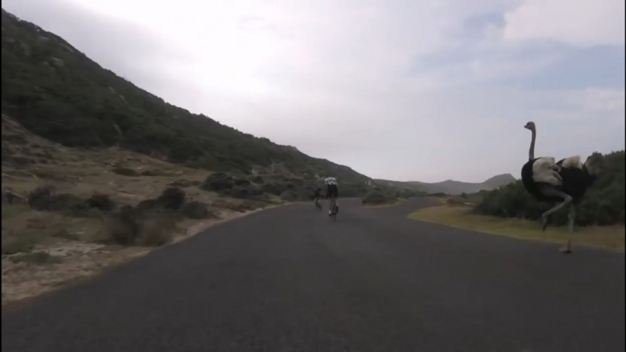 دنبال کردن دوچرخه سواران توسط...