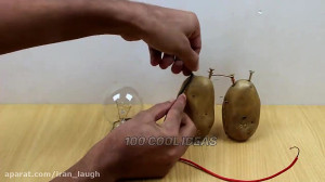 تولید برق با سیب زمینی