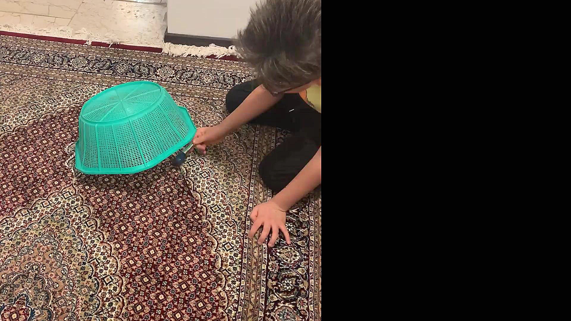 اموزش ساخت تله پرنده