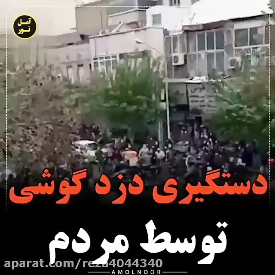 دستگیری دزد گوشی توسط مردم