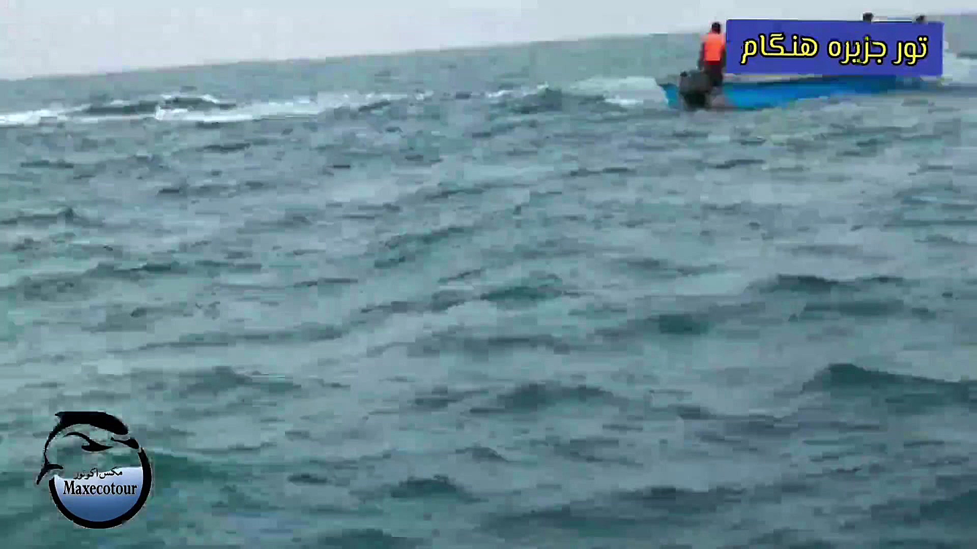 تور جزیره هنگام