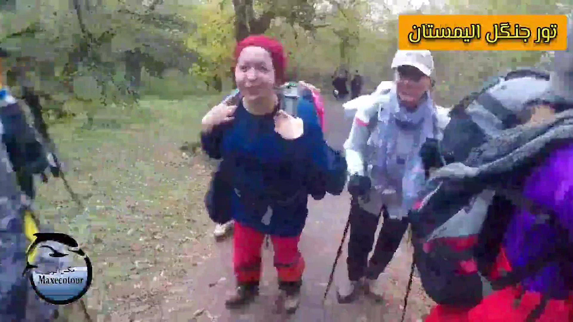 تور جنگل الیمستان