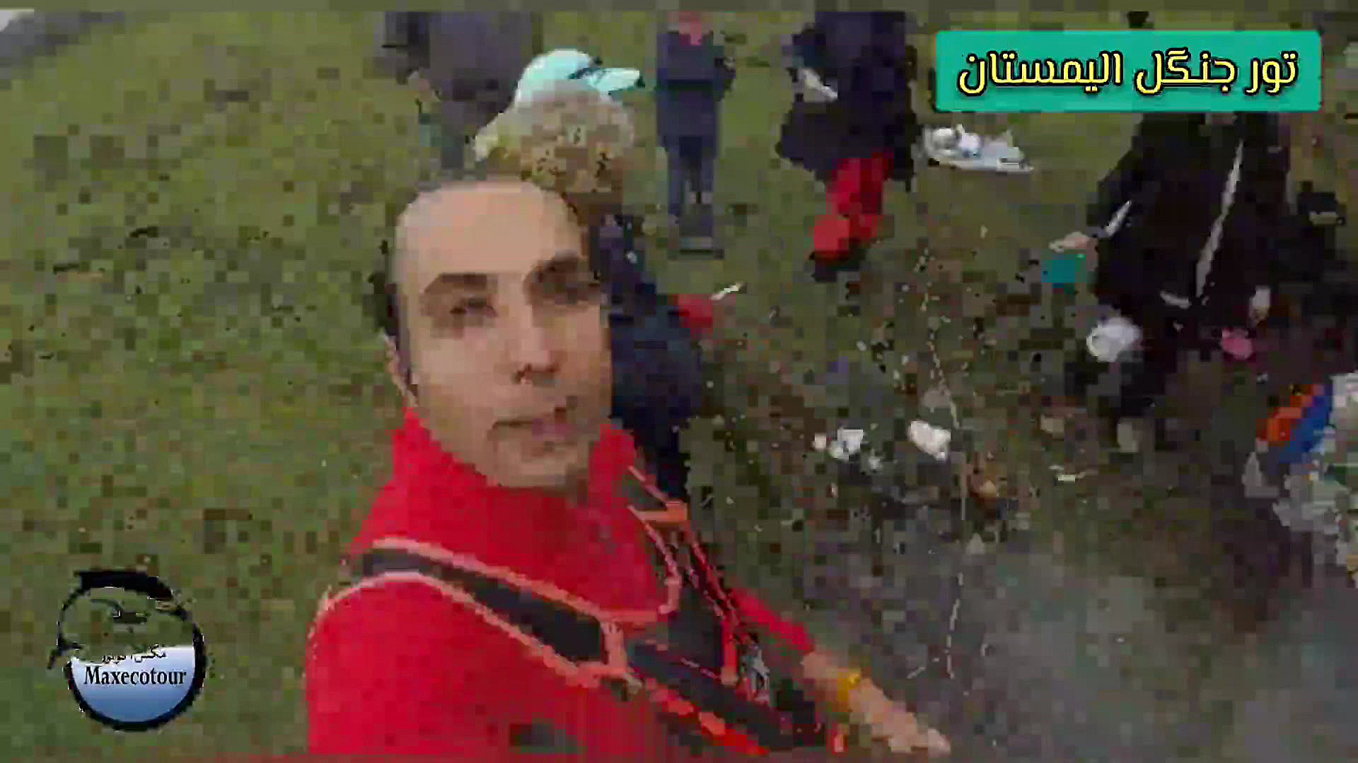 تور جنگل الیمستان