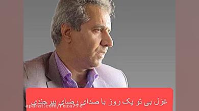 رضای بیرجندی غزل بی تو یک روز