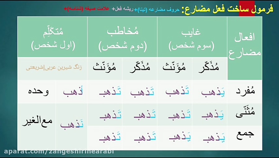 افعال مضارع (قسمت دوم)