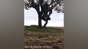 ورزش در طبیعت.. آب کردن شکم