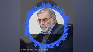 شهید فخری زاده
