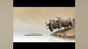 اختلاف نظر(طنز)