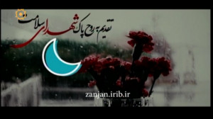 نماهنگ شهدای سلامت
