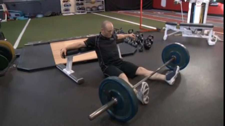 هیپ تراست هالتر.